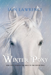 Book cover for The Winter Pony