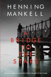 A Bridge to the Stars 