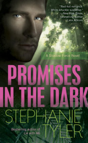 Promises in the Dark 