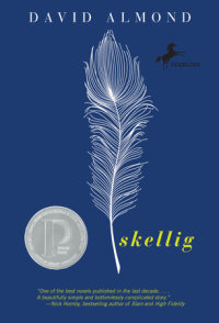 Book cover for Skellig