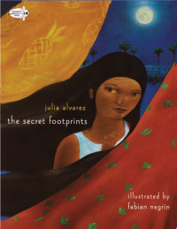Book cover for The Secret Footprints