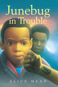 Book cover for Junebug in Trouble