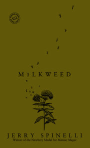 Milkweed 