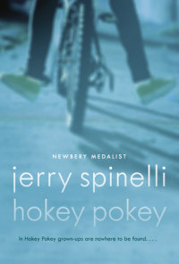 Book cover for Hokey Pokey