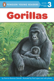 Gorillas 