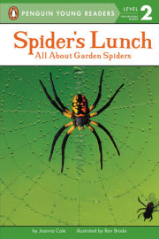 Spider's Lunch 