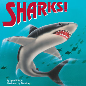 Sharks!