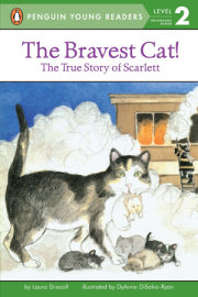 The Bravest Cat! 