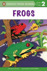 Frogs 