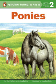 Ponies 