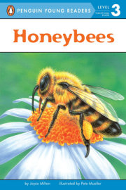 Honeybees 