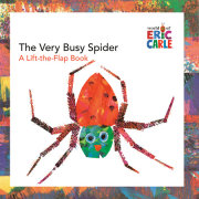 The Very Busy Spider 