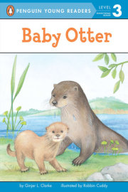 Baby Otter 