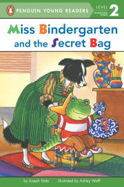 Miss Bindergarten and the Secret Bag 