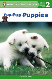 Pup-Pup-Puppies