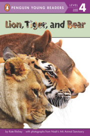 Lion, Tiger, and Bear 