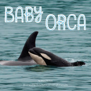 Baby Orca 