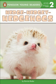 Hedge-Hedgey-Hedgehogs 