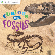 Curious About Fossils 