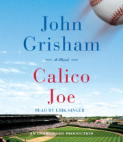 Calico Joe 