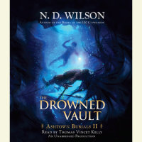 Cover of The Drowned Vault