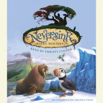 Neversink Cover