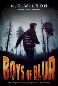 Book cover for Boys of Blur