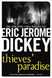 Thieves' Paradise 