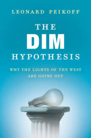 The DIM Hypothesis 