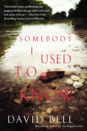 Somebody I Used to Know 