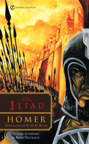 The Iliad 