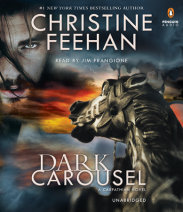 Dark Carousel Cover