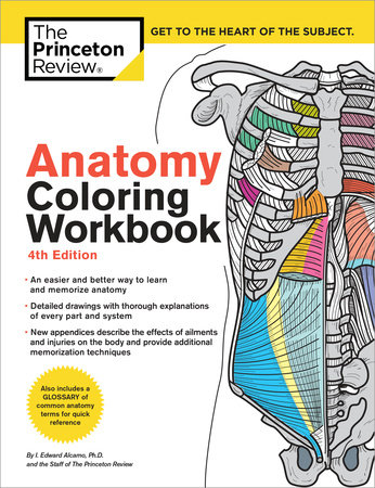 Download Anatomy Coloring Workbook 4th Edition By The Princeton Review Edward Alcamo 9780451487872 Penguinrandomhouse Com Books