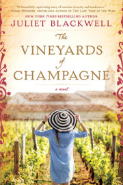 The Vineyards of Champagne 