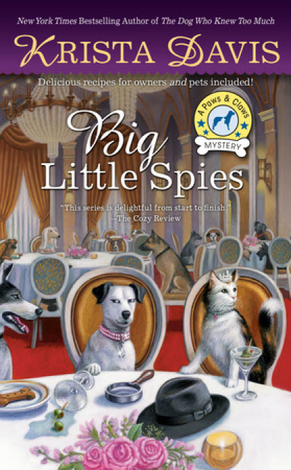 Big Little Spies