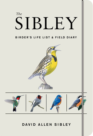 The Sibley Field Guide to Birds of Eastern North America – Bird Collective