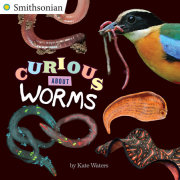 Curious About Worms 