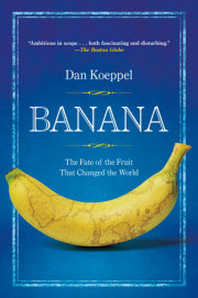 Banana 