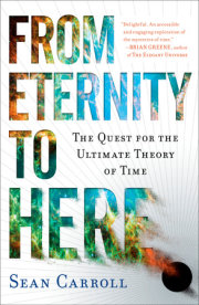 From Eternity to Here 