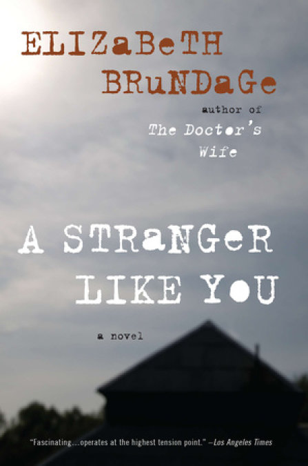 A Stranger Like You