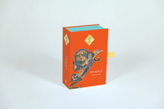The Book of Kells: Animal Notecards