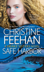 Safe Harbor 