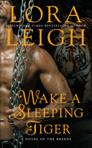 Wake a Sleeping Tiger 