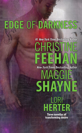 Stolen by Darkness: A through the portal coveted fairy romance: 15 (Coveted  Prey) : Starscoldnight, Lane, L V: : Books