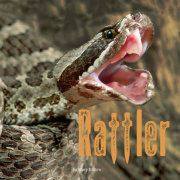 Rattler 