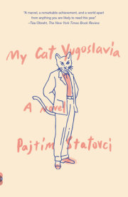 My Cat Yugoslavia