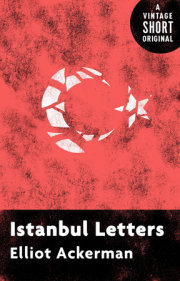 Istanbul Letters 