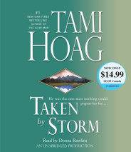 Taken By Storm Cover