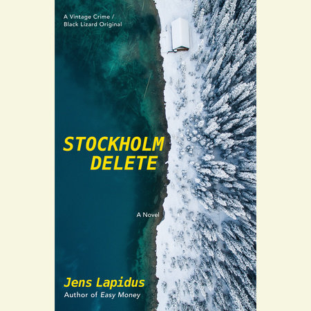 Stockholm Delete by Jens Lapidus