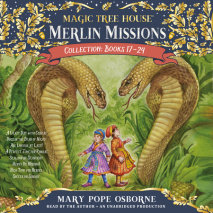 Merlin Missions Collection: Books 17-24 Cover